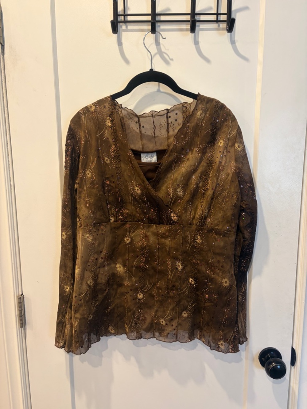 Women’s Vintage Brown Mesh Floral V-Neck long sleeve Top